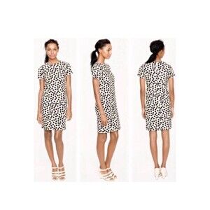 J Crew Dress Size 4 Black Beige Polka Dot Short Sleeve Cotton Modal Woven Office